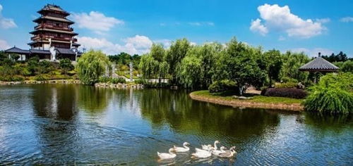 心動之旅！僅99元，12月3日韶山、花明樓純玩一日游，開啟紅色文化體驗